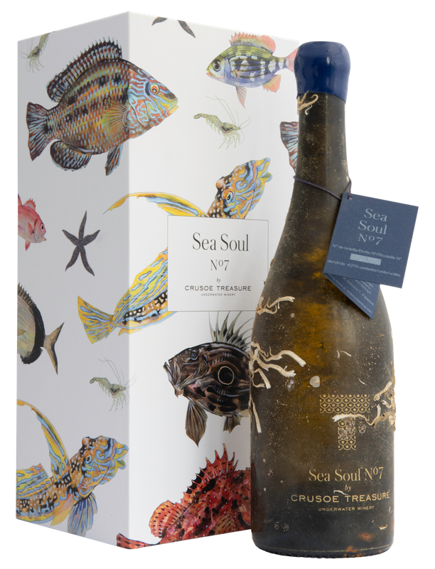 バスク海底熟成ワイン 商品ラインアップ – Wine Shop Terre（ワイン