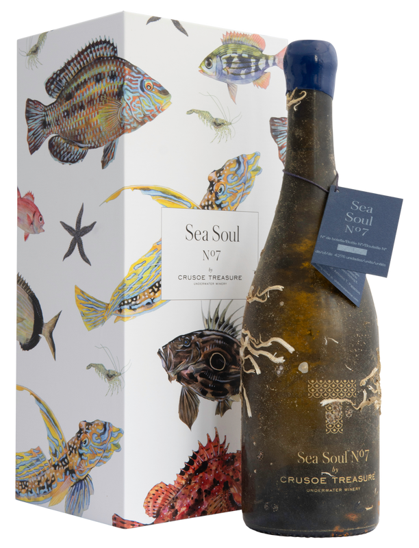 バスク海底熟成ワイン 商品ラインアップ – Wine Shop Terre